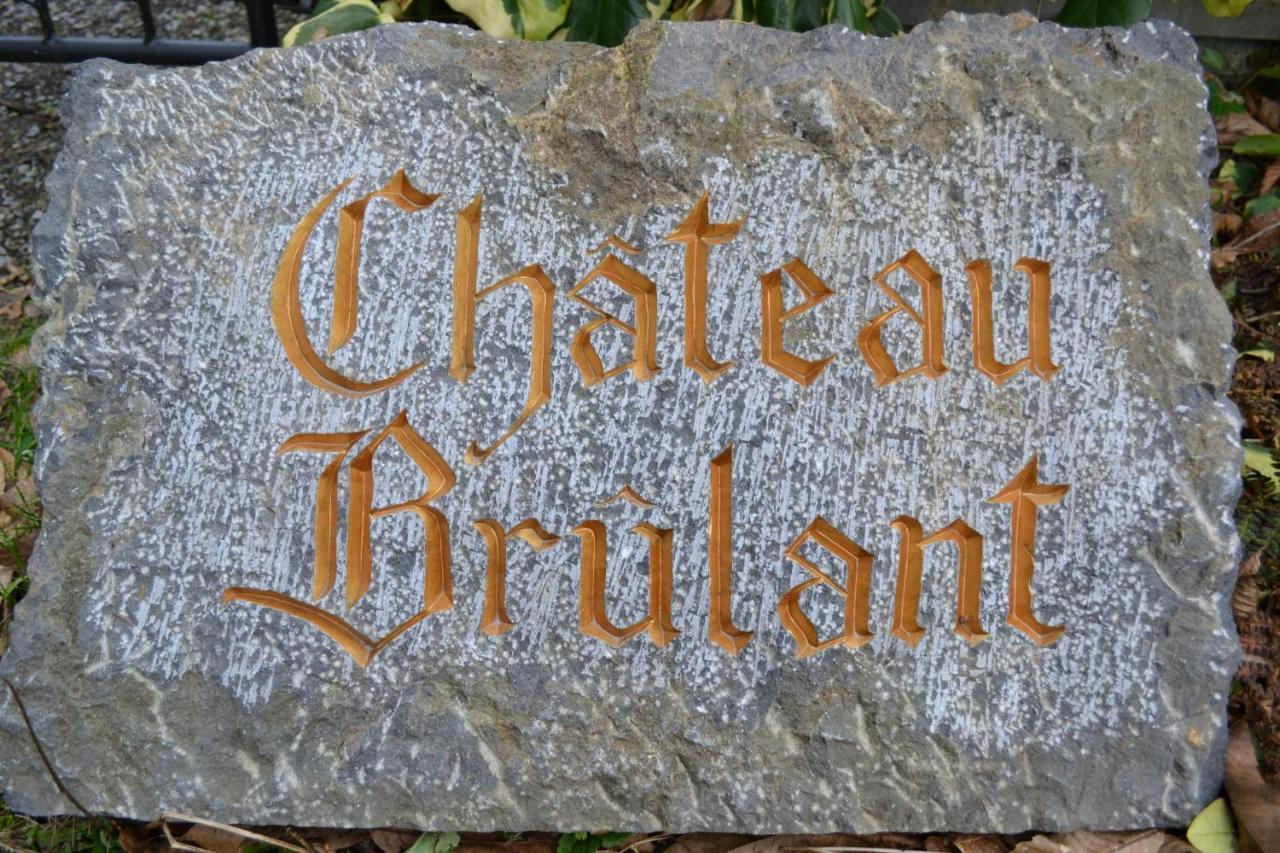 Chateau Brulant Somme-Leuze Dış mekan fotoğraf